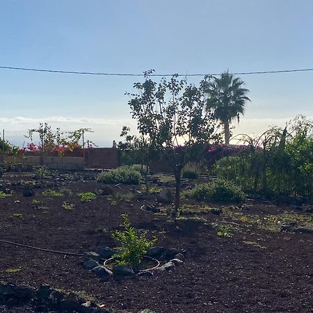 Finca Arcoiris Tenerife Vv Guía de Isora Esterno foto