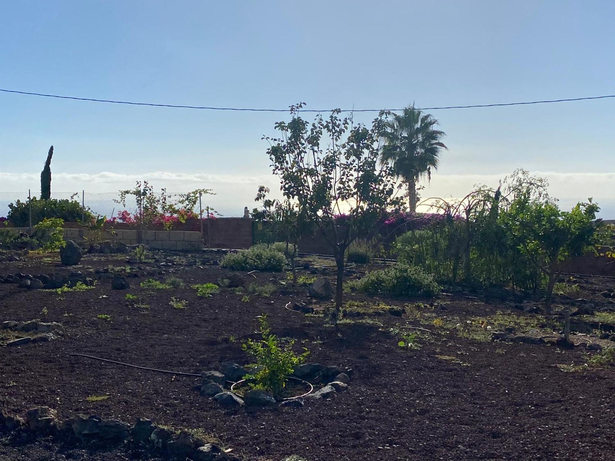 Finca Arcoiris Tenerife Vv Guía de Isora Esterno foto